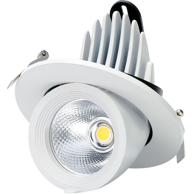Economic Recessed Tiltable/Zoom Cob Spot Light