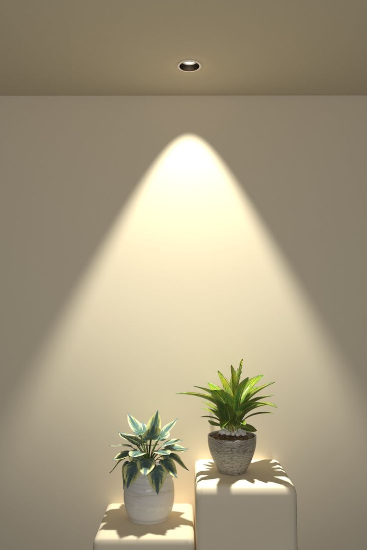 Premium Deep Recesses Cob Spot Light USE