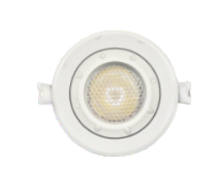 Indoor & Outdoor Logo Projector Light